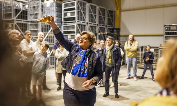 Visita a las bodegas y degustación-photo