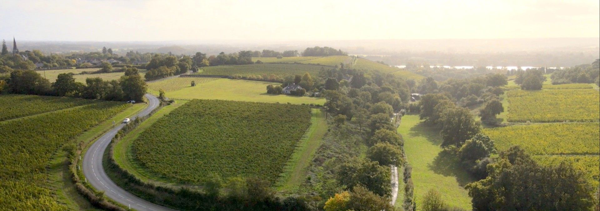 Domaine Laureau - Rue des Vignerons