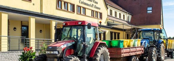 Workshop zur Weinlese: Eine Einführung in die Weinverkostung-photo