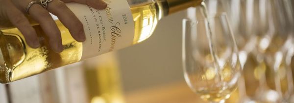 Außergewöhnliche Verkostung auf Château Climens-photo