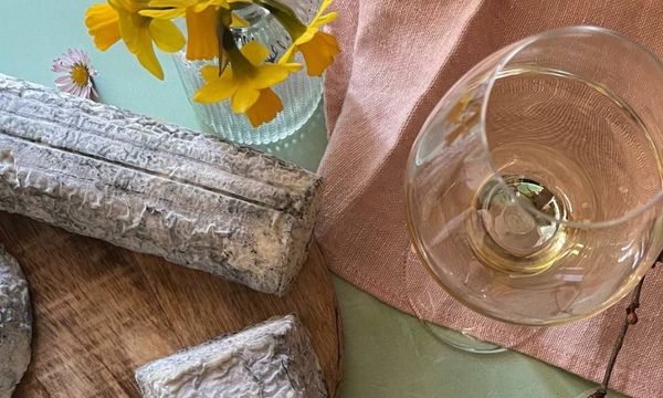 Duo divin : vins & saveurs-photo