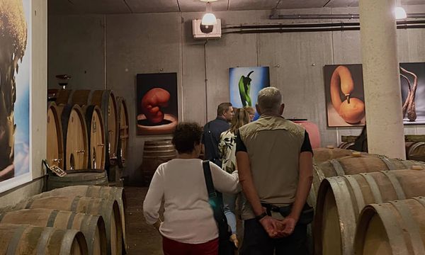 Discovering the wines of Pic Saint-Loup-photo