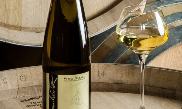 Découvrez nos vins d'Alsace-photo