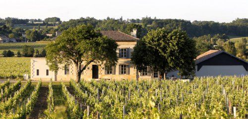 Château Grangey photo