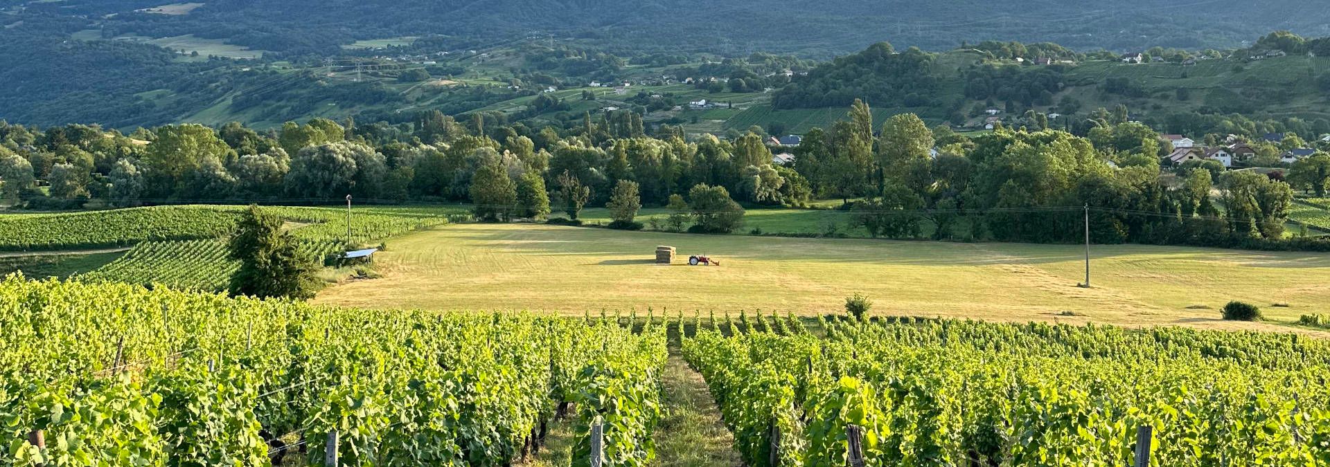 Domaine des Granges Longes - Rue des Vignerons