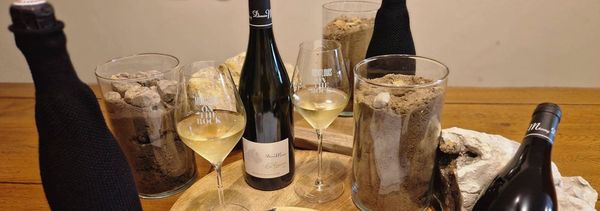 Introductory tasting workshop-photo
