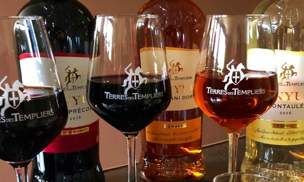 Wein- & Gourmettour-photo