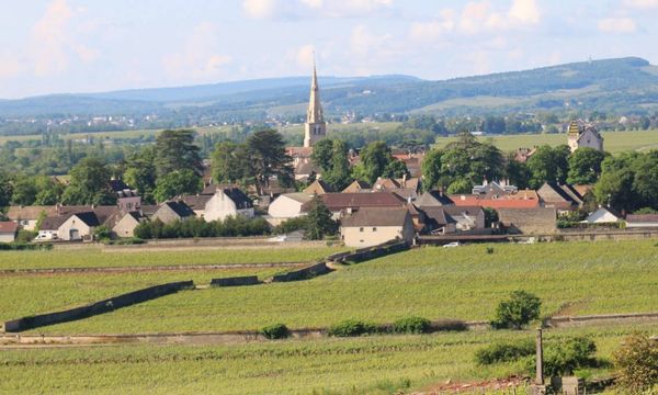 Full day Private Wine Tour in Burgundy's Champs-Elysées-photo