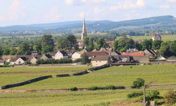 Privé wijntour van een hele dag langs de Champs-Elysées in Bourgondië-photo