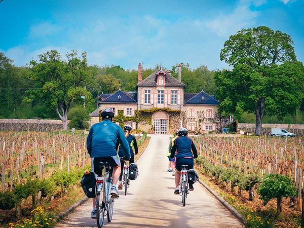 Half-day cycling and wine tour in the Côte de Nuits, starting from Nuits-Saint-Georges-photo