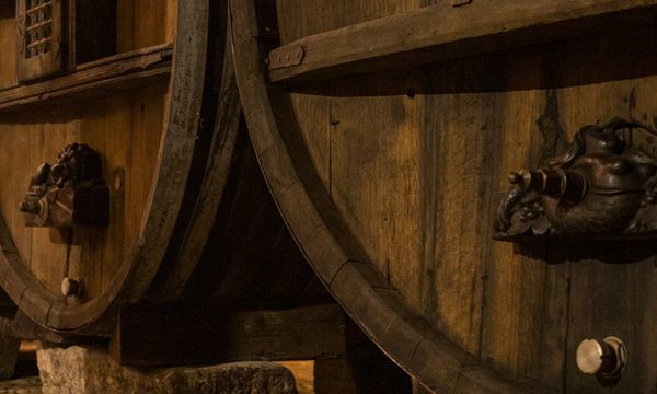 Auf Entdeckungsreise durch die Weine und Terroirs von Eguisheim-photo