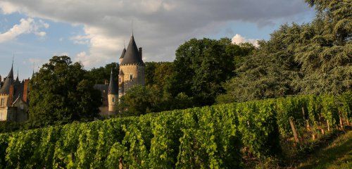 Château de Tracy photo