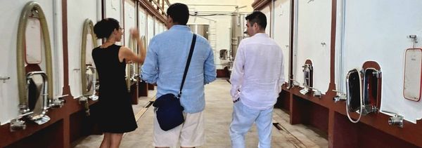 Entdeckung eines authentischen Pessac-Léognan-photo