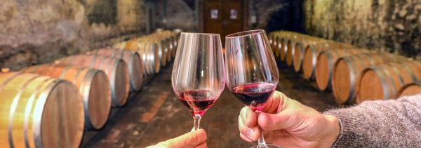 Découverte de notre chai-photo