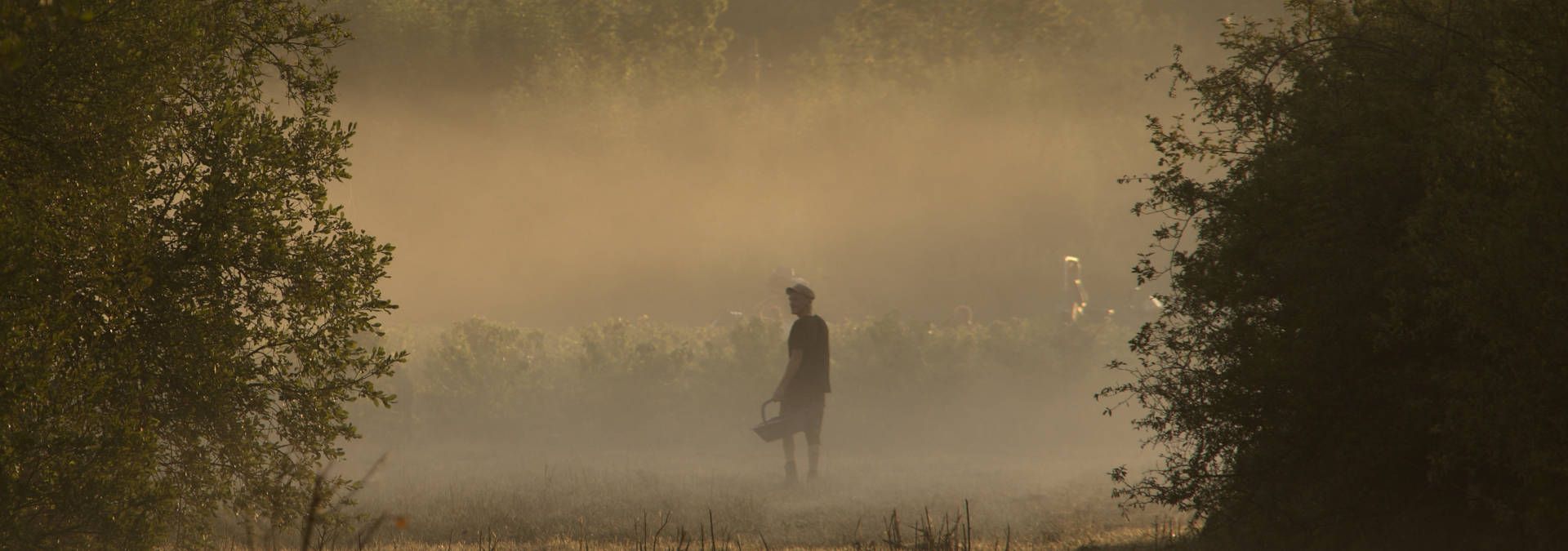 Domaine Bregeon - Rue des Vignerons