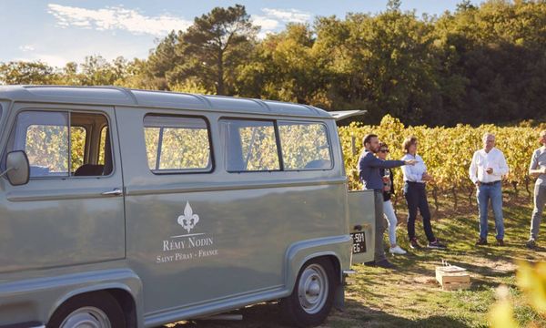 Atypical discovery of the vineyard in a small van-photo
