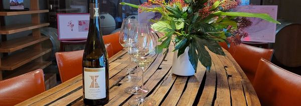 Découverte des vins du Domaine-photo