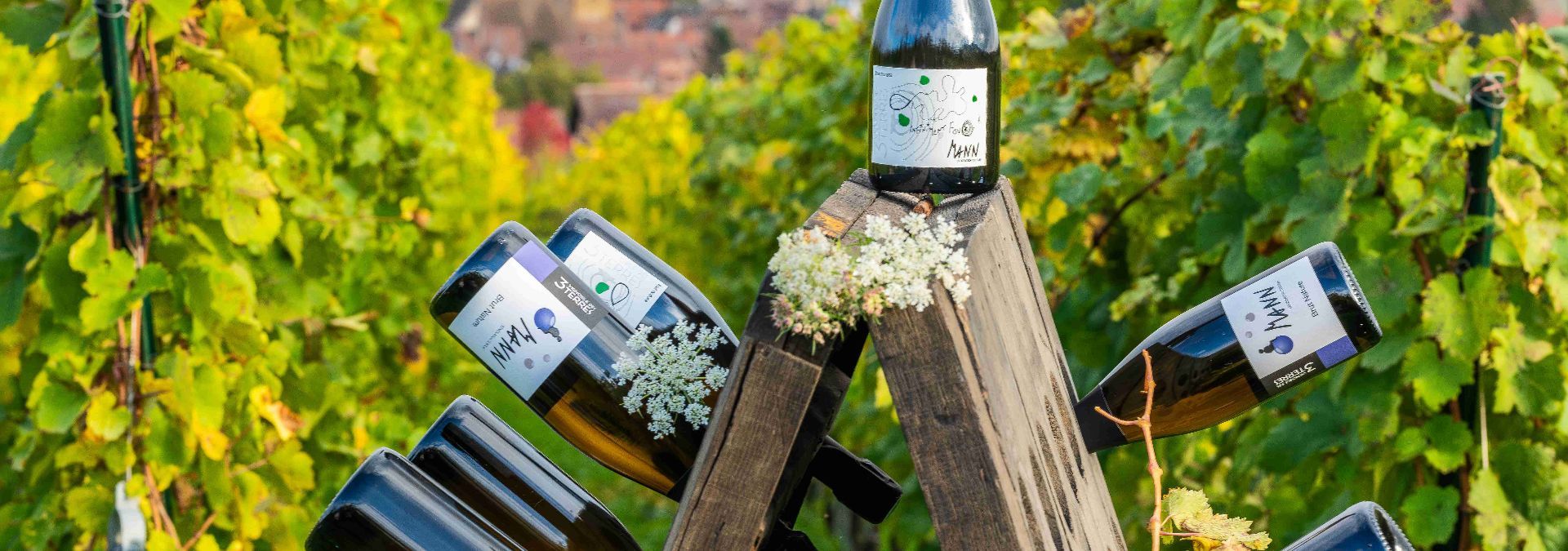 Domaine Mann - Rue des Vignerons