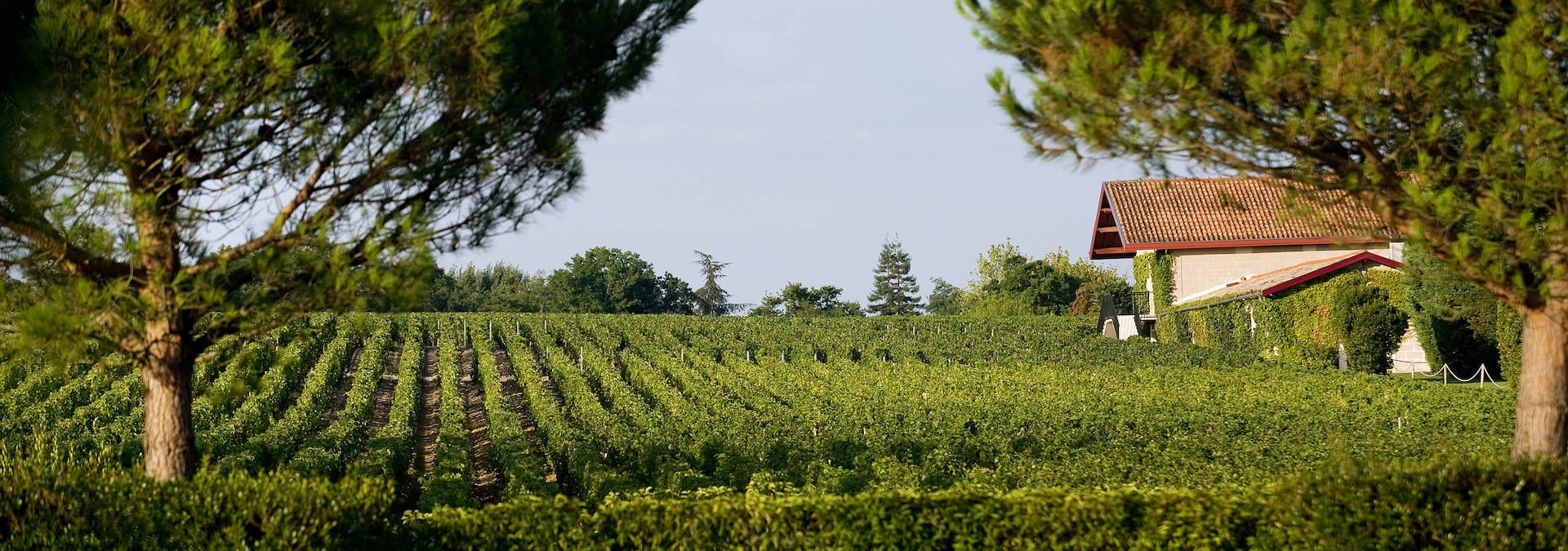Château Château Malartic-Lagravière - Rue des Vignerons
