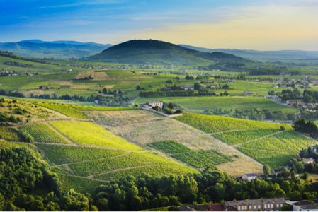 Beaujolais