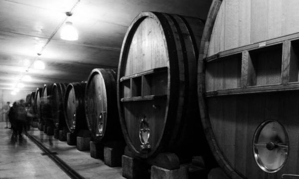 Visit of the wine storehouses - Tasting-photo