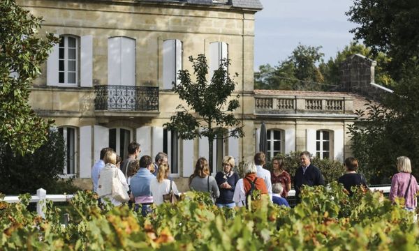 Recorrido Naturaleza y futuro/Primavera en los castillos 2026-photo