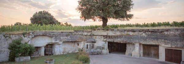 Au coeur du vin - 3 wijnen-photo